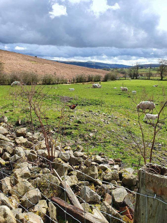 Wales' Highest Village - The Chartist Cottage - Trefil Tredegar エクステリア 写真