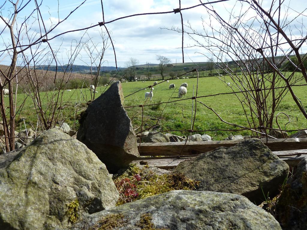 Wales' Highest Village - The Chartist Cottage - Trefil Tredegar エクステリア 写真