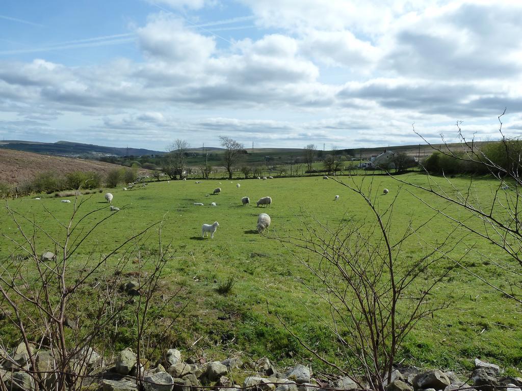 Wales' Highest Village - The Chartist Cottage - Trefil Tredegar エクステリア 写真